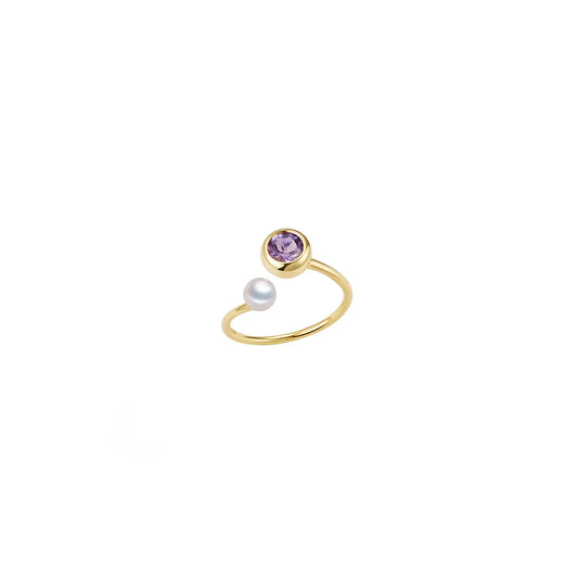 BIRTH STONE AMETHYST RING