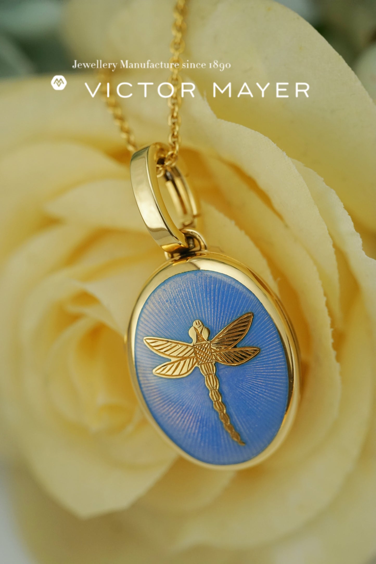 Oval Locket Pendant Dragonfly - 49062/OB/00/00/102